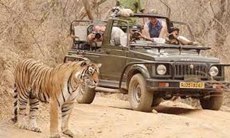 Agra Taj Mahal And India Tiger Tour By Car