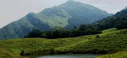 Mesmerizing Western Ghats With Mysore Tour