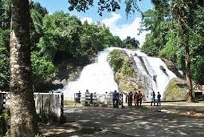 Magical Athirapally With Munnar Tour