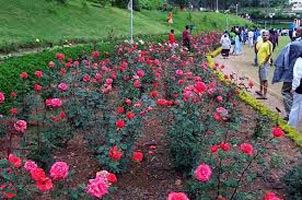 Short Escape To Ooty