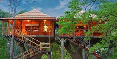 Periyar Tour With Tree House