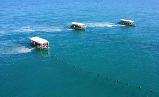 Best of Australia - Land Only Tour