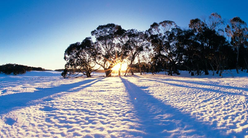 Essence of Australia Land Only Tour