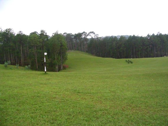 Nainital Darshan Tour