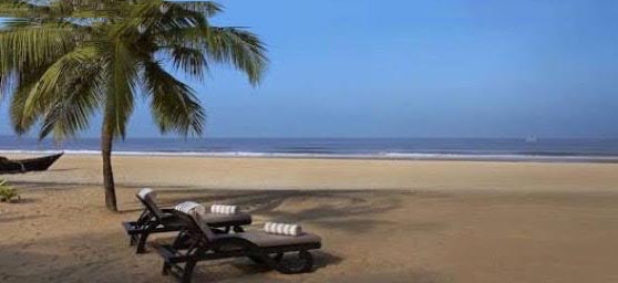 Celebrations 9 Package