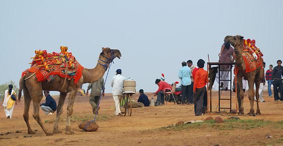 Lonavala & Mahabaleshwar Tour