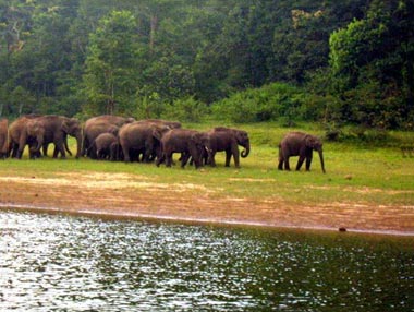 Kerala Tour Package for 6 Night / 7 Days