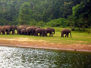 Amazing Kerala Tour Package for 6 Days Best Price