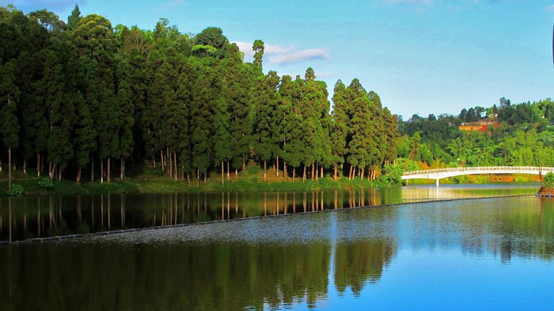 Queen Of Hills Package