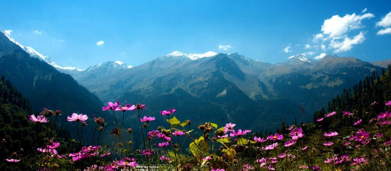 (2) Shimla Manali Special Tour Package (5 Nights 6 Days)