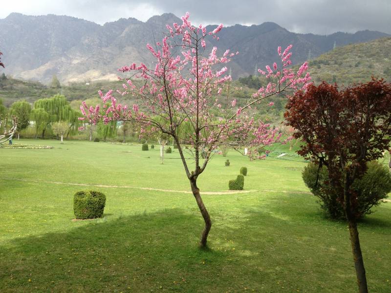 Srinagar - Mugal Gardens, Shankracharya, Gulmarg, Pahlgam Tour