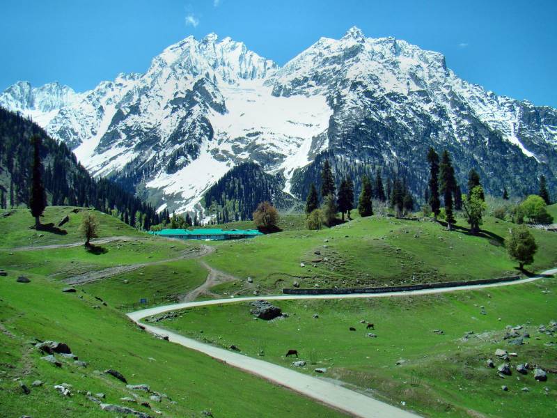 Srinagar Local Mugal Gardens, Shankracharya, Gulmarg, Pahlgam, Sonamarg Tour Image