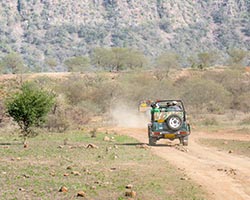 Ranthambore Tiger Reserve Tour