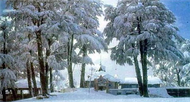 Himachal Honeymoon Package - 5Days