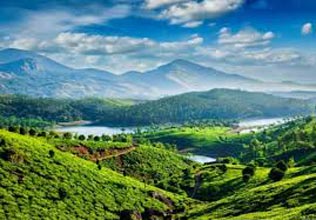Cochi - Munnar - Thekkdy - Alleppy - Kovalam Tour Package