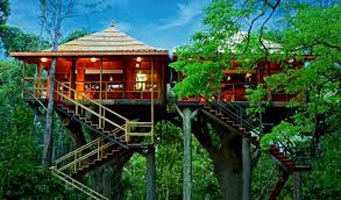 Best Of Kerala With Treehouse Stay