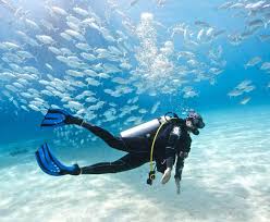 Scuba Dive with Water Sports Combo Goa Tour Image
