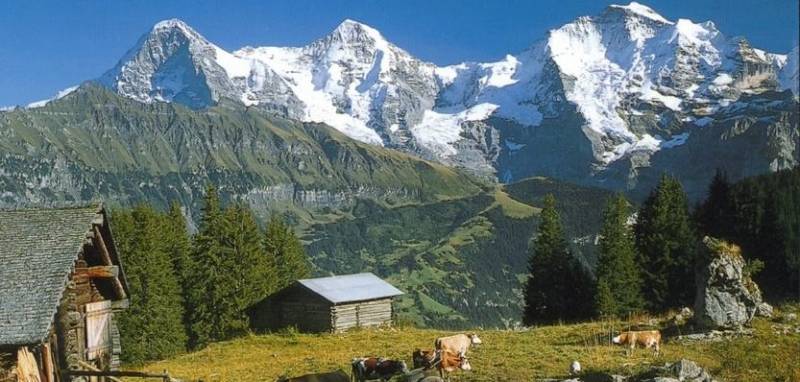 Ex Srinagar - Kashmir Holiday Package with Sinthan Top