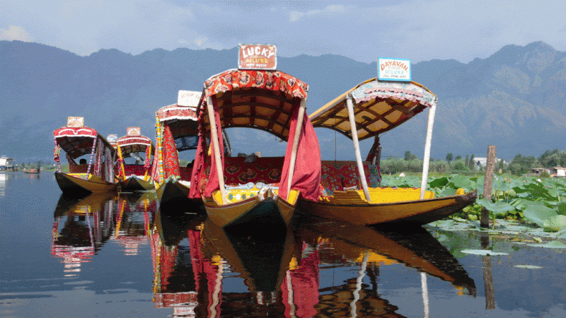 Ex Srinagar - Kashmir Holiday Package with Sinthan Top