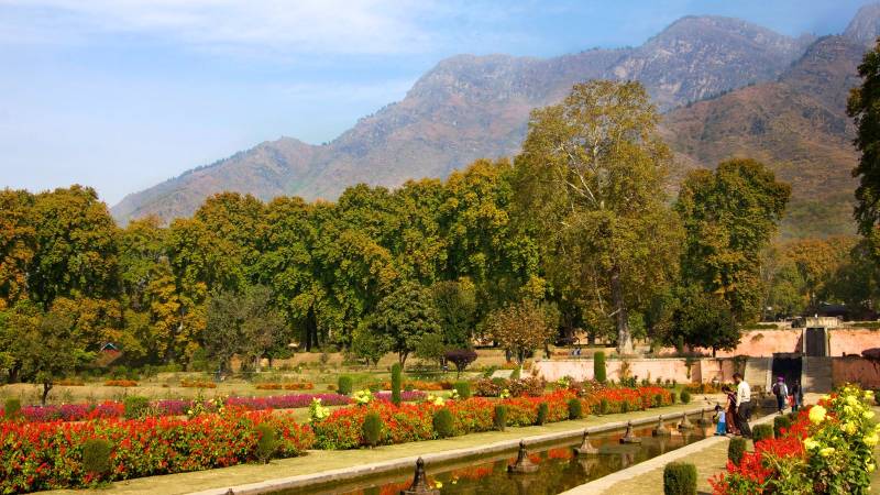 6 Nights - 7 Days Kashmir Holiday Packages