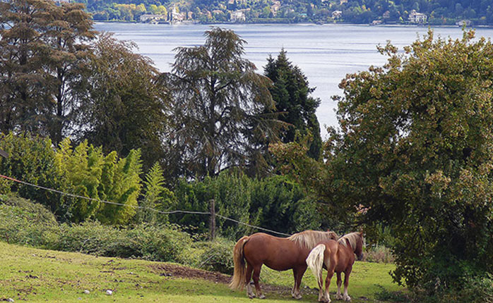 6 Nights 7 Days Italy Tour