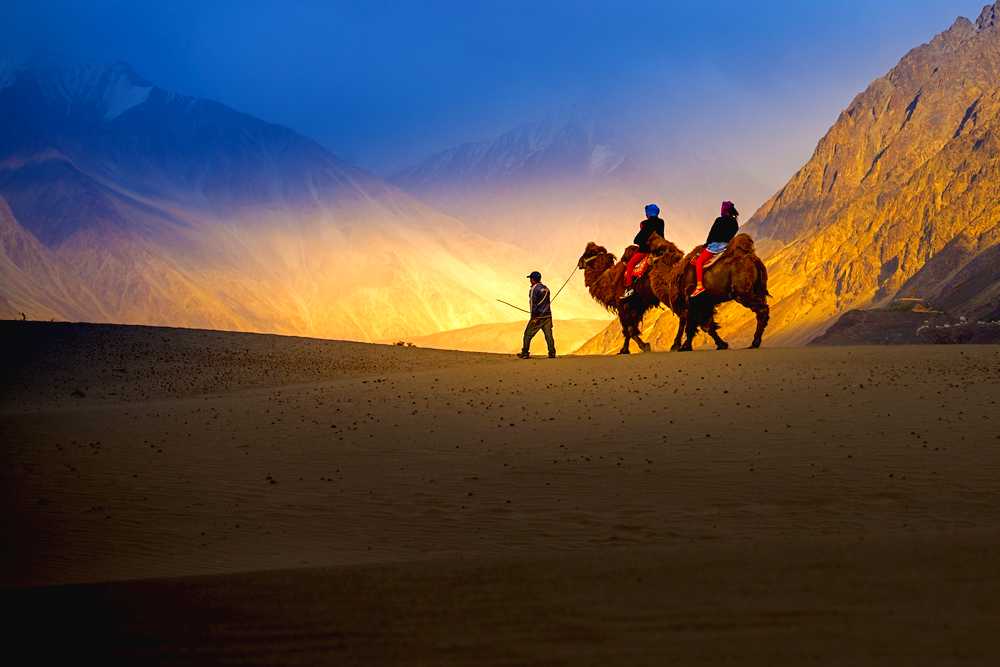 Trip to Ladakh Tour