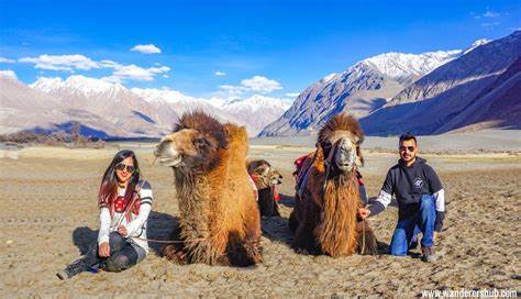 10 Days - Trip To Ladakh Tour