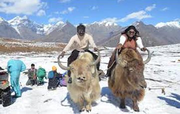 Shimla Manali Honeymoon Tour