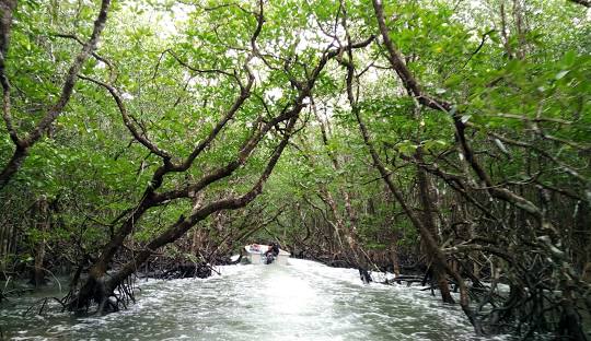 7 Night 8 Days Andaman Tour Package