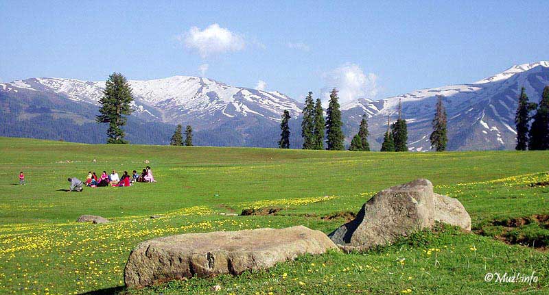 5N6D - Visit Yusmarg And Kokernag Tour Image