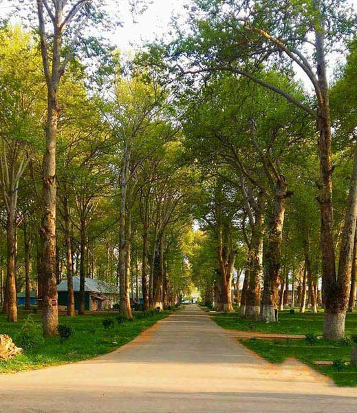 Cheapest Tour Kashmir Package