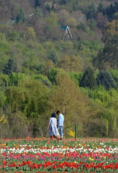 Kashmir Pahalgam Package