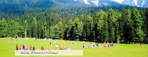 Vaishno Devi Kashmir 6 Nights 7 Days Tour Package