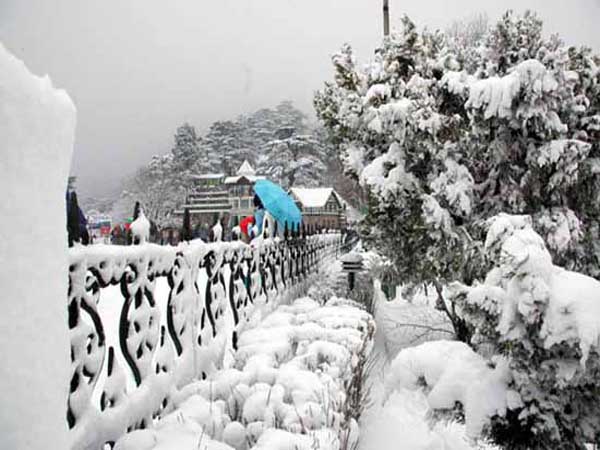 Shimla Package