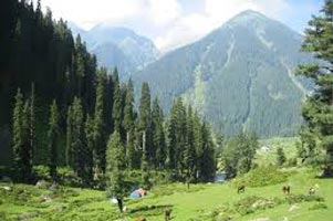 Beautiful Kashmir Tour
