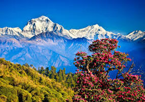 Picturesque Nepal