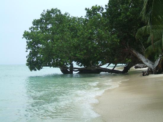 Andaman Lagoon 6 Nights & 7 Days (3-nights Port Blair: 2- Nights Havelock: 1-night Neil Island)