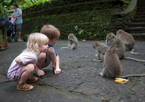 Bali Tour , Amazing Tour Bali 01