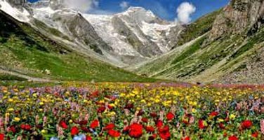 Valley Of Flowers Trek With Hemkund Sahib Tour