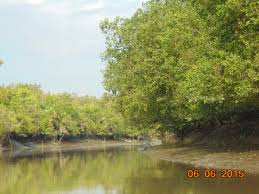 Sundarban Package Tour