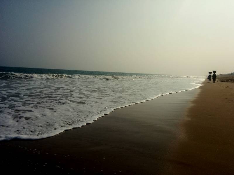 Gopalpur On Sea With Rideley Turtle Tours Package