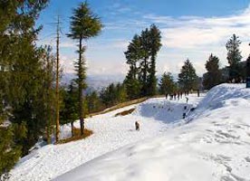 Himachal Harmony Trip For 5 Nights / 6 Days By/Cab Package