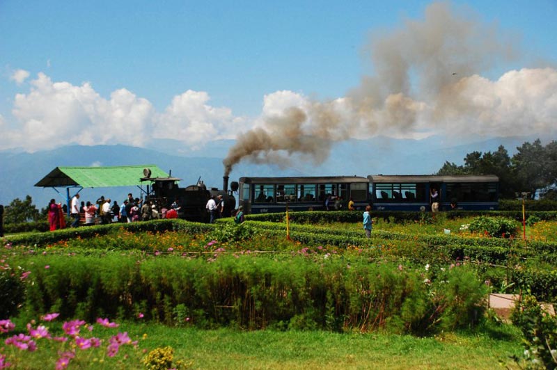 Darjeeling Himalayan Railways (DHR) Tour