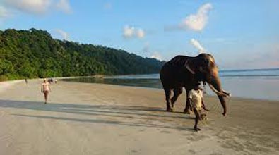 Glimpses Of Andaman Tour