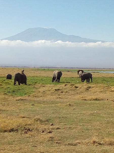 3 Days Amboseli National Park Tour