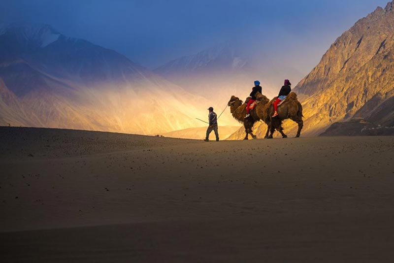 Ladakh Heritage Monastery Tours & Nubra Valley Package