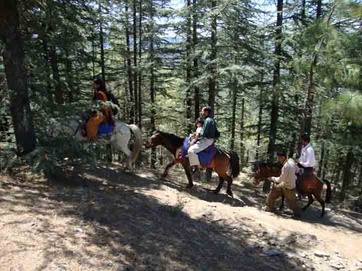 Shimla Manali Package From Chandigarh