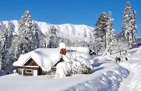 Srinagar-Gulmarg-Srinagar Tour