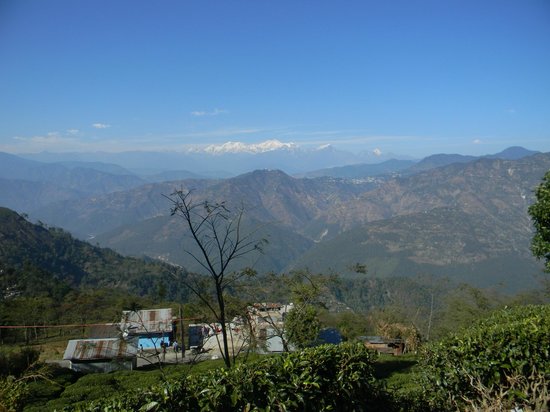 Kalimpong- Gangtok- Lachung - Pelling Tour