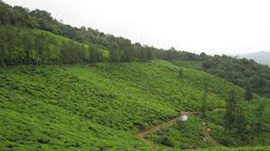 Hill Stations Of South India Tour